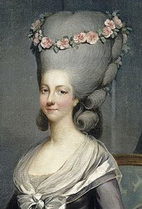 Pelucas de la aristocracia